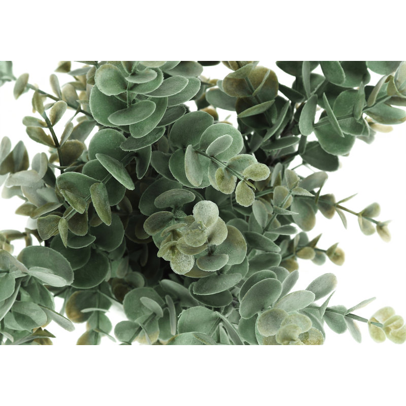 Plante 12,5 po Mcclain