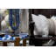 Linen Lumbar Pillow with Ostrich Feather Trim-40992932