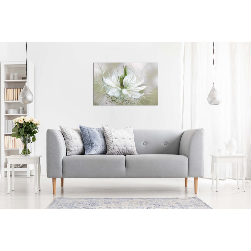 Nigella - Wrapped Canvas Print, 31cm H x 46cm W x 1.8cm D
