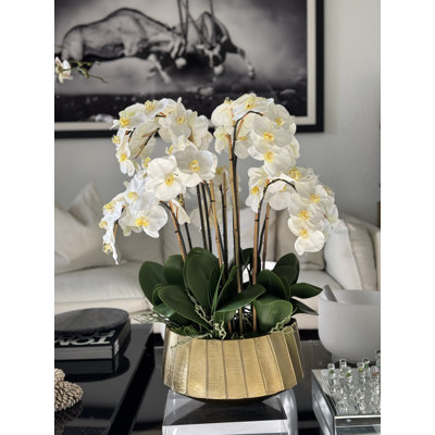 Jardinière Helena avec orchidées phalaopsis