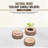 2'' H Wood Tabletop Tealight Holder-88039745-87899345