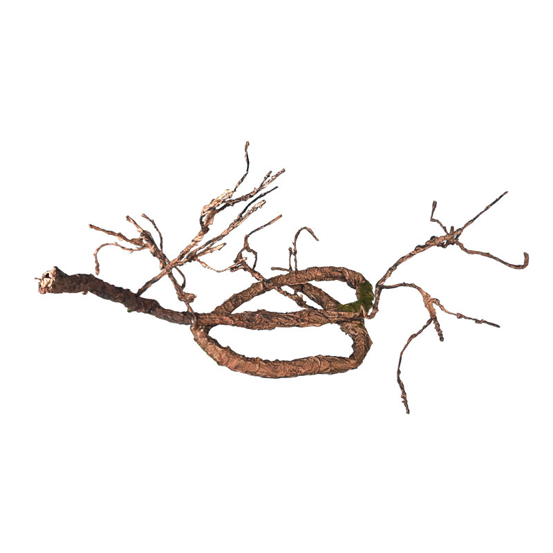 Ensemble d'accessoires flexibles pour vignes grimpantes pour reptiles