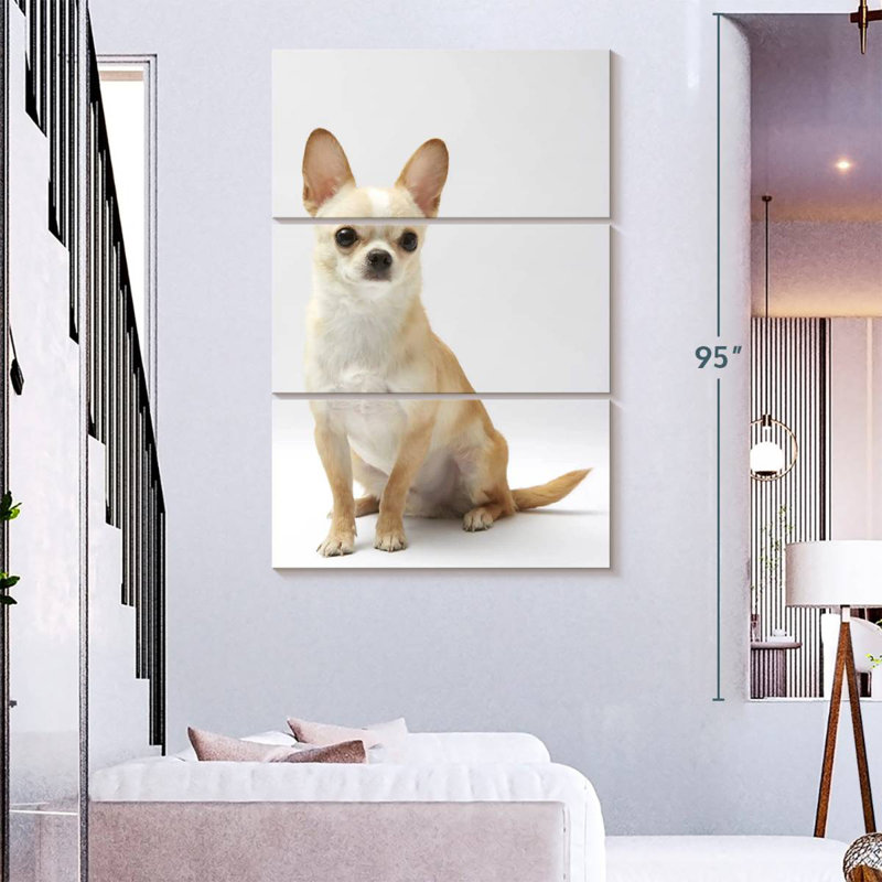 Seated Chihuahua
