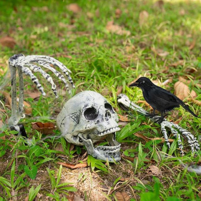 Halloween Skeleton Stakes with Crow