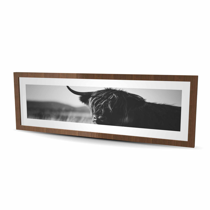 Magnifique vache monochrome Highland - reproduction encadrée