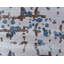 Antolini Flatweave Abstract Area Rug-29004866