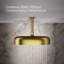 Statement™ 2.5 GPM Round 12 in. Rainhead with Katalyst Air-Induction Technology-293091980-293091985-312589343