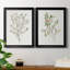 "Single Sprig III", ensemble de 2 impressions sur toile encadrées-1816422064-1816422067