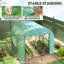 10 Ft W x 10 Ft D Greenhouse