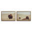 Ensemble de 2 bisons des prairies-516914441-516914448-526938182