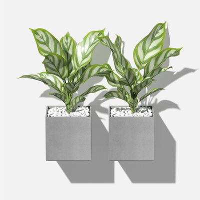 Geo Series 5" Wall Planter