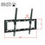 Blue Elephant Single Screen Wall Mount
