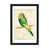 Black Framed Fine Art Paper is unavailable
