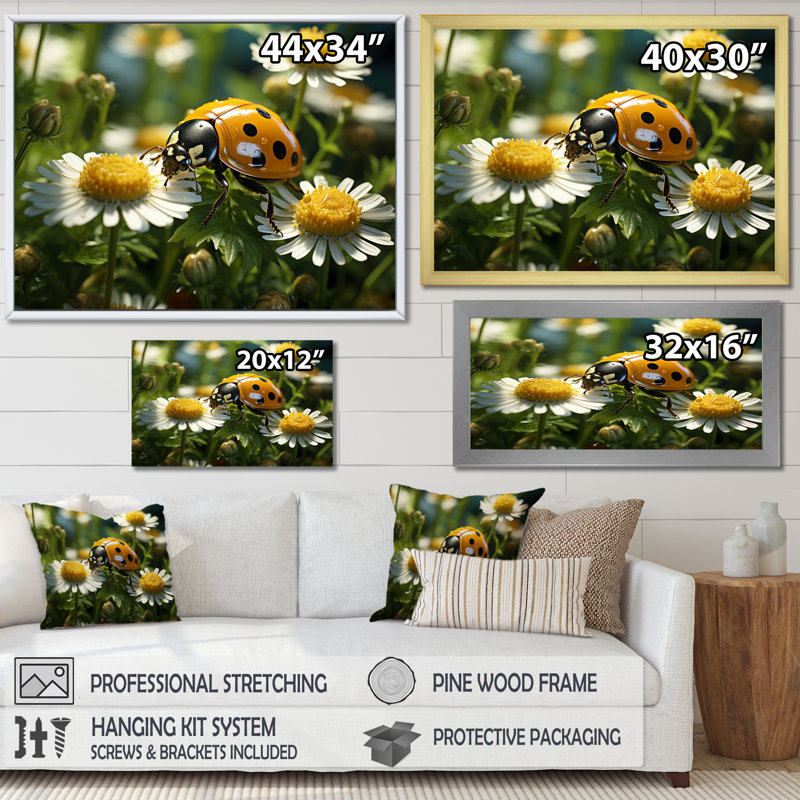 «Sunshine Ladybug Travel Splendor I», reproduction sur toile, Cadre flottant blanc, H 30 po x l 40 po x P 1,5 po