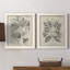 "Antique Black and White Botanical VI", ensemble de 2 reproductions d'art sur toile-1503099802-1503099803