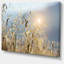 Typique, Toscane, coucher de soleil, Italie - reproduction de photo sur toile tendue-19409012