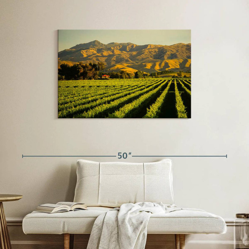 Alvord Blenheim Vineyard, H 26 po x l 39 po