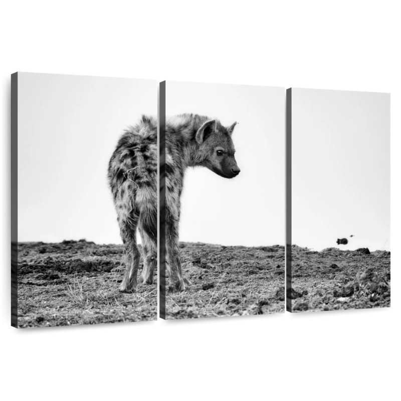 Hyène Brampt en noir et blanc, H 24 po x l 38 po