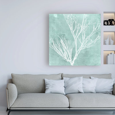 " Wrapped Canvas Wall Art - Vision Studio 'Seaweed On Aqua VII' Wall Art For Living Room, Bedroom, Or Office Décor - 24x24 " by Vision Studio Painting Print