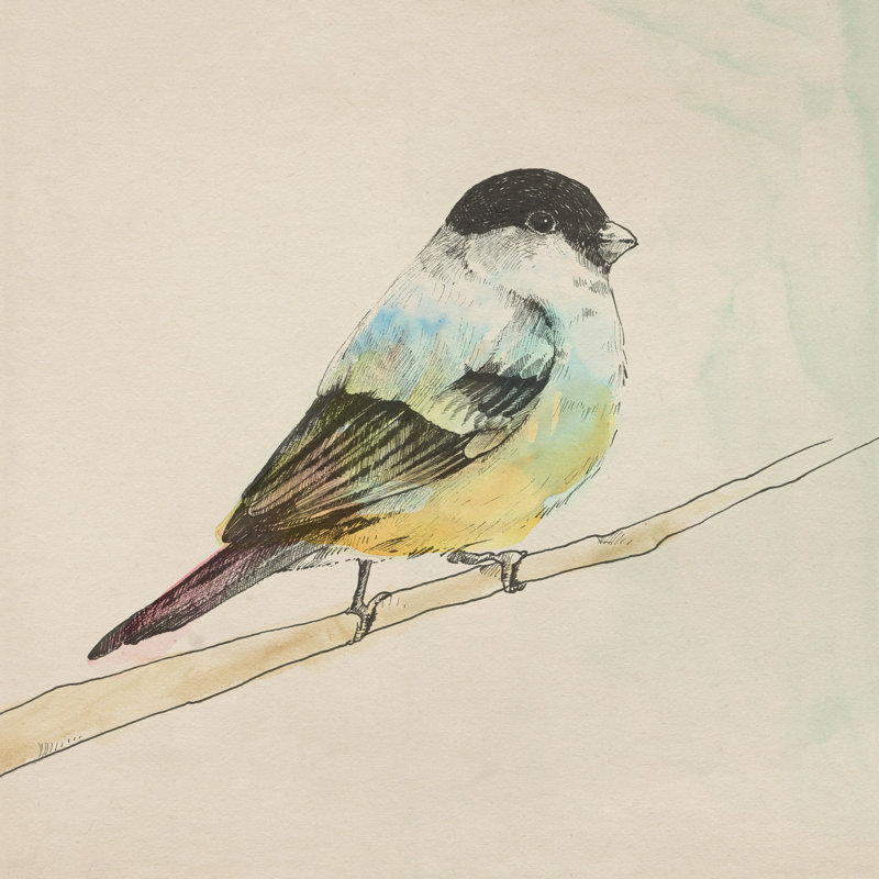 Pretty Little Bird II Print by Michelle Bennett, Outdoor, 36" H x 36" W