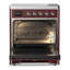Majestic III Series 30 Inch Induction Range with 4 Induction Elements in Stainless Steel (Burnished Trim)-1810982690-1810982702