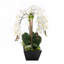 Arrangement floral orchidée en pot Real Touch Phalaenopsis