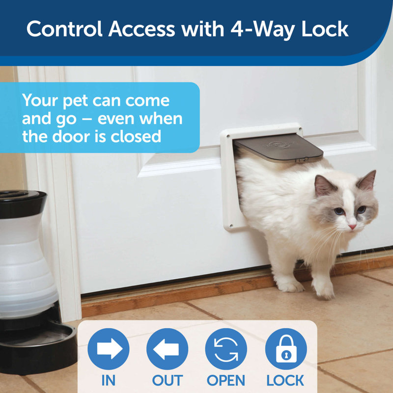 White 4-Way Locking Small Cat Door