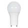 10 Watt White LED Bulb