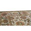 Wool Oriental Area Rug