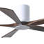 Ventilateur de plafond à 5 pales DEL avec ensemble d'éclairage inclus Irene-264797997-190528879-190434782