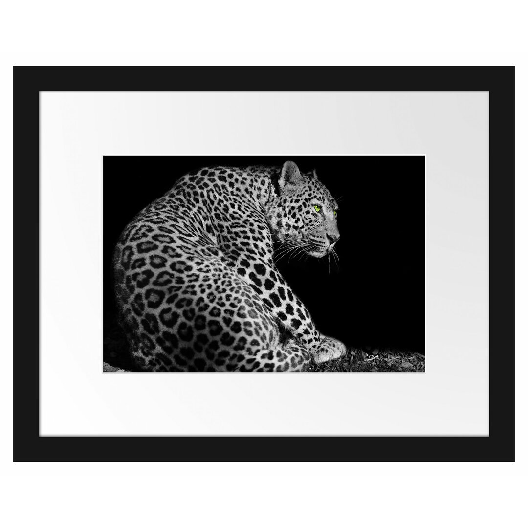 Gerahmtes Poster Dark wunderschöner Leopard