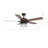 52'' Ceiling Fan with Light Kit-103122800