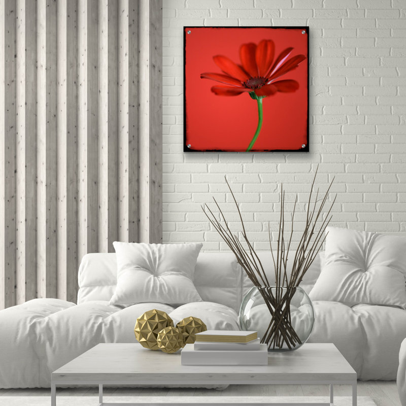 Art mural épique «Red Gerbera on Red 07» par Tom Quartermaine, H 24 po x l 24 po