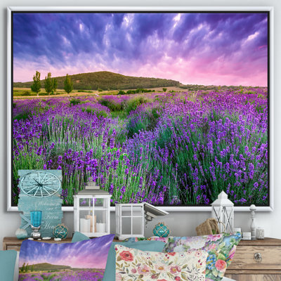 " Sunset Over Summer Lavender Field In Hungary "