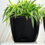 Quadro Premium Pot Planter-16493069-16493066