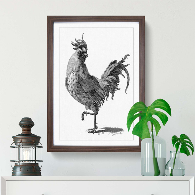 A Cock In Black And White by Johan Teyler - Single Picture Frame Print, 45cm H x 33cm W x 2cm D, Walnut Framed
