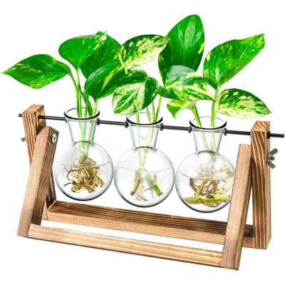Propagation station, terrarium de plantes, cadeaux pour les amoureux des plantes pour les femmes, décoration de porte-coupe-plantes, cadeaux pour les femmes, nouvelle maison-3 ampoules