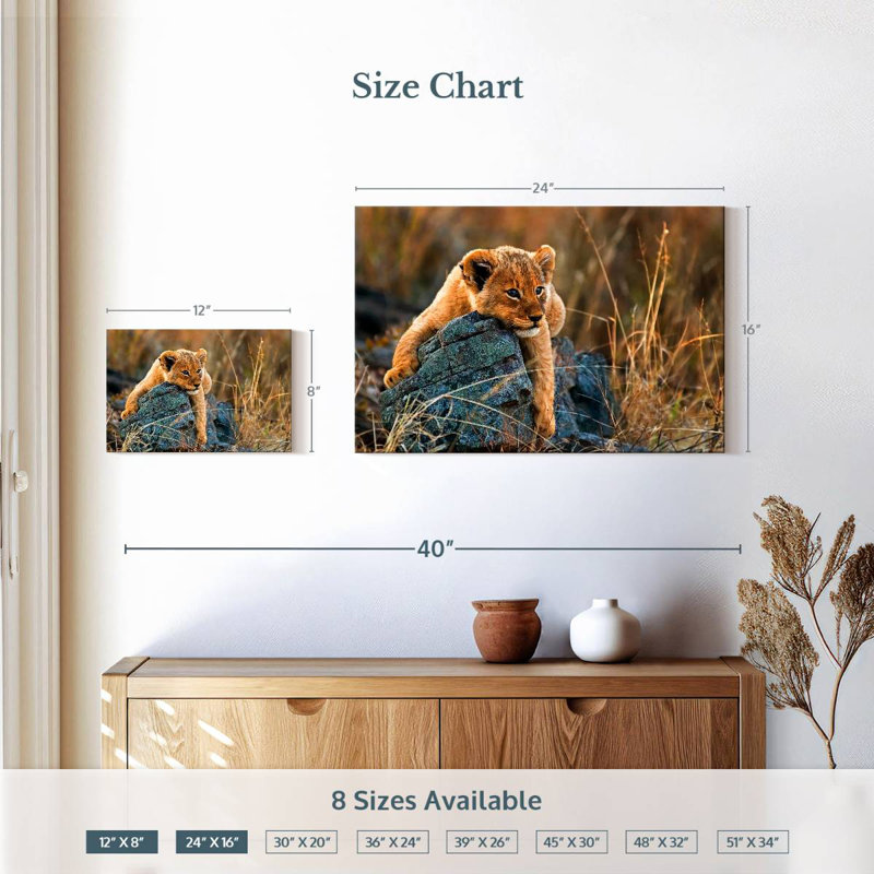 Lioneau safari Brampt, H 16 po x l 24 po