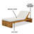 Teri Outdoor Acacia Chaise Lounge