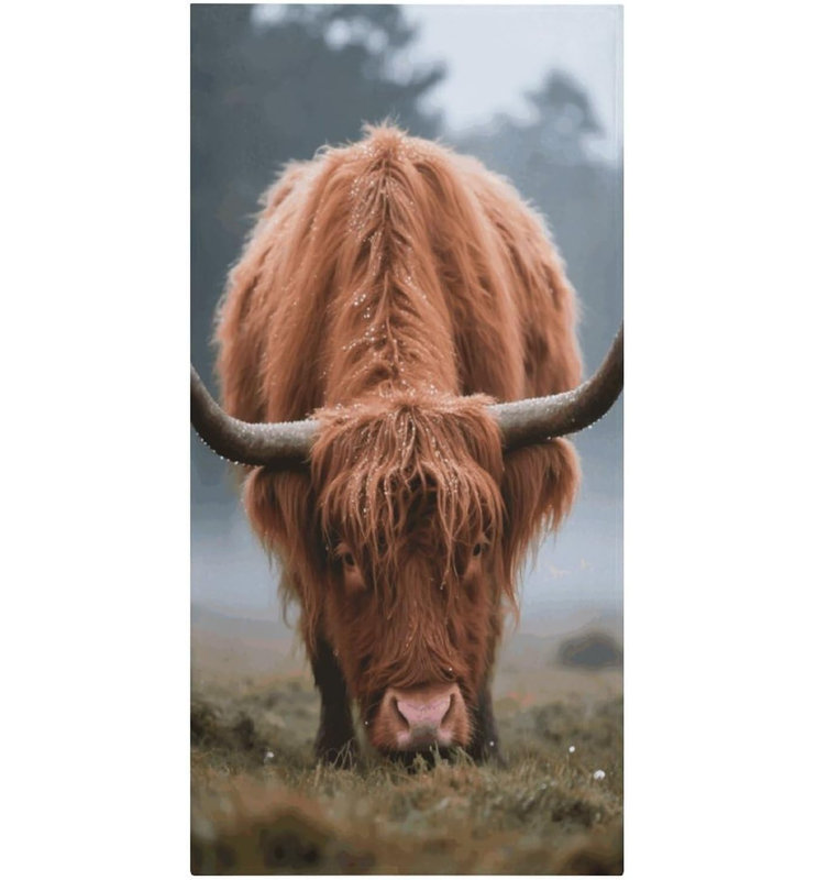 Serviette de plage en microfibre à séchage rapide Highland Cow, 60 x 80 po