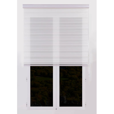 Semi Sheer Zebra Shades