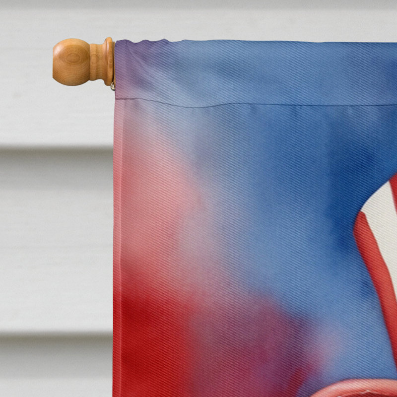 Drapeau patriotique de la maison américaine, Berger d'Anatolie