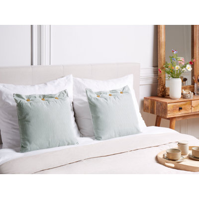 Radojica Striped Blue Cushion
