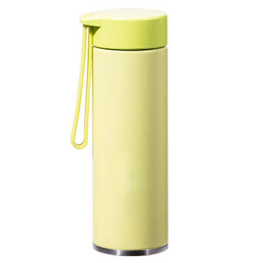 https://assets.wfcdn.com/im/07381170/resize-h380-w380%5Ecompr-r70/2142/214265342/Umber+Rea+Insulated+Stainless+Steel+Water+Bottle.jpg