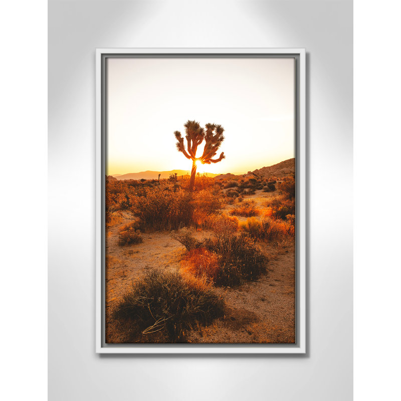«Desert Dawn» par Joshua Earle - reproduction imprimée, H 19,5 po x l 13,5 po x P 2 po, Cadre flottant blanc, Pas de tapis