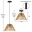 Daniels 1 - Light Satin Black Single Pendant