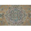 Vintage Floral Traditional Area Rug 10x13
