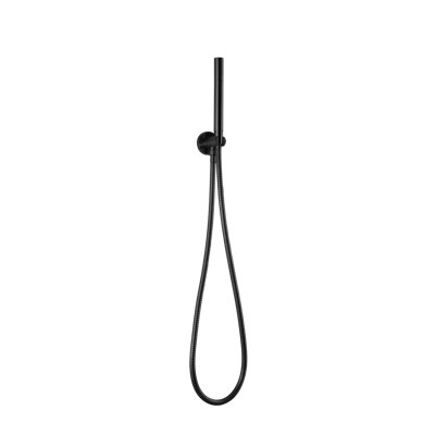 Rain Handheld Shower Head