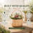 August Grove® Decorative Basket