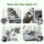 Tour pour chat 31,5 "avec 2 condos, arbre à chat multi-niveaux pour chatons